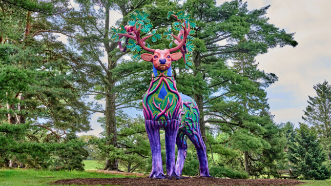 aVivid-Creatures_Generosity_White-tailed-Deer_3_Credit_-The-Morton-Arboretum